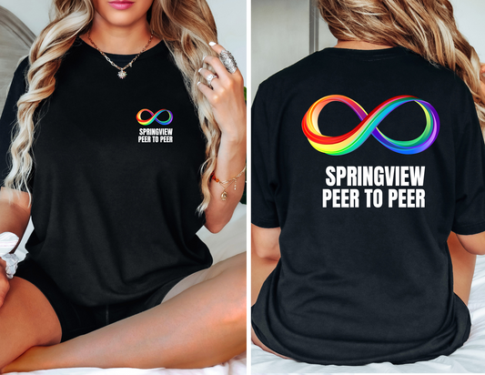 Springview Peer to Peer